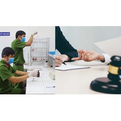 11 lĩnh vực giám định tư pháp lĩnh vực lao động, người có công và xã hội