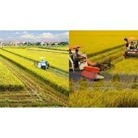 Bình quân đất sản xuất nông nghiệp ở vùng nào ngày càng thấp?