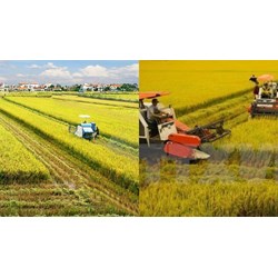Bình quân đất sản xuất nông nghiệp ở vùng nào ngày càng thấp?
