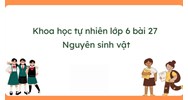 Giải Khoa học tự nhiên 6 Bài 27: Nguyên sinh vật