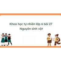 Giải Khoa học tự nhiên 6 Bài 27: Nguyên sinh vật