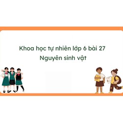Giải Khoa học tự nhiên 6 Bài 27: Nguyên sinh vật