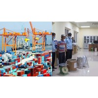 Có những đối tượng nào hiện nay phải chịu sự kiểm tra hải quan?