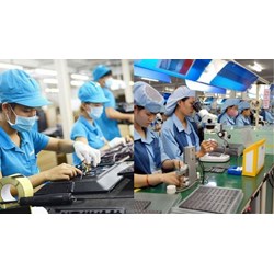 Khu làm việc chung hỗ trợ doanh nghiệp nhỏ và vừa khởi nghiệp sáng tạo