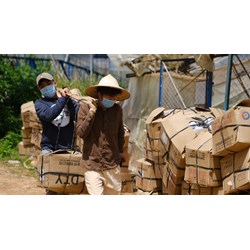 Lao động tự do có nên tham gia bảo hiểm xã hội không?