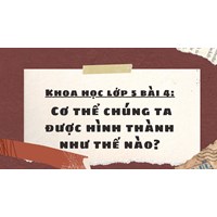 Khoa học lớp 5 bài 4 Cơ thể chúng ta được hình thành như thế nào?