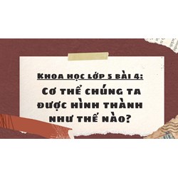 Khoa học lớp 5 bài 4 Cơ thể chúng ta được hình thành như thế nào?