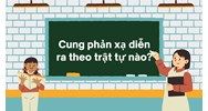 Cung phản xạ diễn ra theo trật tự nào? Sinh học 11