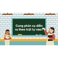 Cung phản xạ diễn ra theo trật tự nào? Sinh học 11