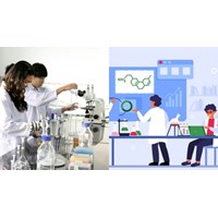 Phân cấp Hội đồng đạo đức trong nghiên cứu y sinh học thế nào?