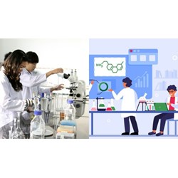 Phân cấp Hội đồng đạo đức trong nghiên cứu y sinh học thế nào?