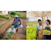 Lập dàn ý Tả một người ở địa phương em sinh sống lớp 5 hay nhất