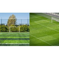 Có được kinh doanh sân bóng đá mini trên đất nông nghiệp không?