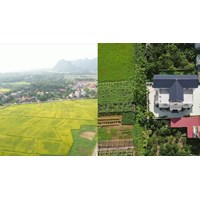 Quy định về hạn mức giao đất ở tại nông thôn cho cá nhân?