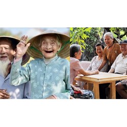 Chế độ làm việc của Ủy ban Quốc gia về người cao tuổi Việt Nam