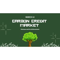 Vietnam and Its Achievement in Carbon Credit Market