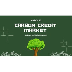 Vietnam and Its Achievement in Carbon Credit Market