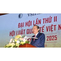 Hội Luật quốc tế Việt Nam hoạt động trong những lĩnh vực nào?