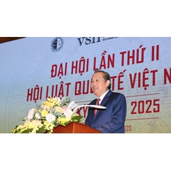 Hội Luật quốc tế Việt Nam hoạt động trong những lĩnh vực nào?