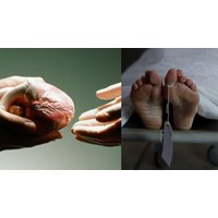 Quy định tôn vinh người hiến bộ phận cơ thể ở người sau khi chết, hiến xác