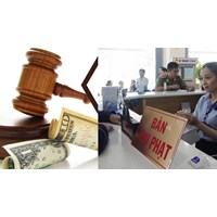 Khi nào tổ chức sẽ bị xử phạt vi phạm hành chính?