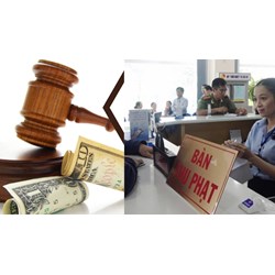 Khi nào tổ chức sẽ bị xử phạt vi phạm hành chính?