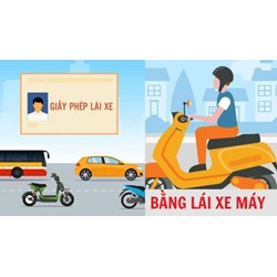 Năm 2024 khi mua xe có cần bằng lái hay không?