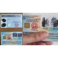 Theo Luật Căn cước mới học sinh lớp mấy phải làm thẻ căn cước?