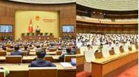 Tại kỳ họp Quốc hội, Đại biểu Quốc hội có được chất vấn Phó Thủ tướng Chính phủ?