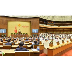 Tại kỳ họp Quốc hội, Đại biểu Quốc hội có được chất vấn Phó Thủ tướng Chính phủ?