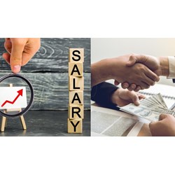 Kỳ hạn trả lương hiện nay được quy định như thế nào?