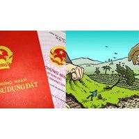 Trường hợp thực hiện góp quyền sử dụng đất, điều chỉnh lại đất đai