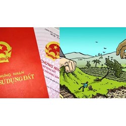 Trường hợp thực hiện góp quyền sử dụng đất, điều chỉnh lại đất đai