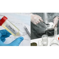 Xét nghiệm chất ma túy trong cơ thể dương tính thì có bị đi tù không?