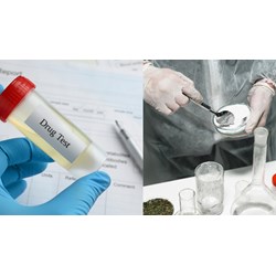 Xét nghiệm chất ma túy trong cơ thể dương tính thì có bị đi tù không?