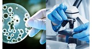 Kinh doanh dịch vụ xét nghiệm vi sinh vật gây bệnh truyền nhiễm là gì?