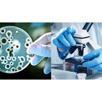 Kinh doanh dịch vụ xét nghiệm vi sinh vật gây bệnh truyền nhiễm là gì?