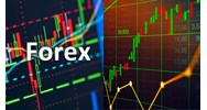 Công chức nhà nước có được đầu tư Forex hay không?
