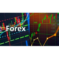 Công chức nhà nước có được đầu tư Forex hay không?