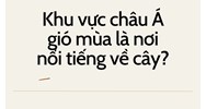 Khu vực châu Á gió mùa là nơi nổi tiếng về cây? - Địa lý lớp 10