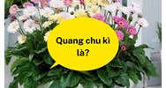 Quang chu kì là? - Sinh học lớp 11 A. Thời gian cơ quan tiếp nhận ánh sáng
