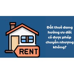 Đất thuê đang hưởng ưu đãi có được phép chuyển nhượng không?