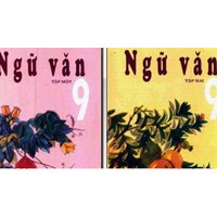 Kiến thức trọng tâm 24 tác phẩm Ngữ văn lớp 9 thi vào 10 năm 2024