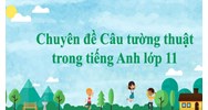 Chuyên đề Câu tường thuật trong tiếng Anh lớp 11 có đáp án