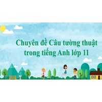 Chuyên đề Câu tường thuật trong tiếng Anh lớp 11 có đáp án