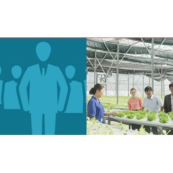 Người đại diện của Hợp tác xã là chủ tịch hay giám đốc theo quy định?