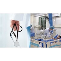 Hội đồng Thuốc và điều trị trong bệnh viện có được thành lập các tiểu ban phục vụ hoạt động của Hội đồng hay không?