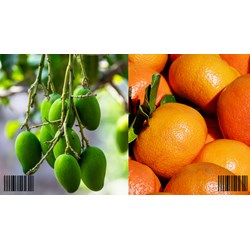 Đăng ký mã số mã vạch tại Đồng Tháp như thế nào? - Luật Minh Khuê