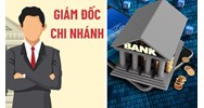 Trách nhiệm của Giám đốc Ngân hàng chi nhánh trong hoạt động của thanh tra ngân hàng