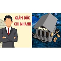 Trách nhiệm của Giám đốc Ngân hàng chi nhánh trong hoạt động của thanh tra ngân hàng